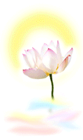 未命名.gif
