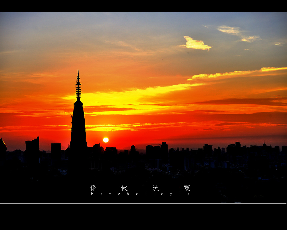 1DSD_2859.jpg