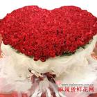 u=83123397,2487534938&fm=0&gp=0.jpg